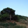 IMG_3947.JPG