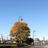 IMG_1906.JPG