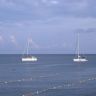 IMG_3928.JPG